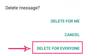 WhatsApp 'Delete for Everyone' 